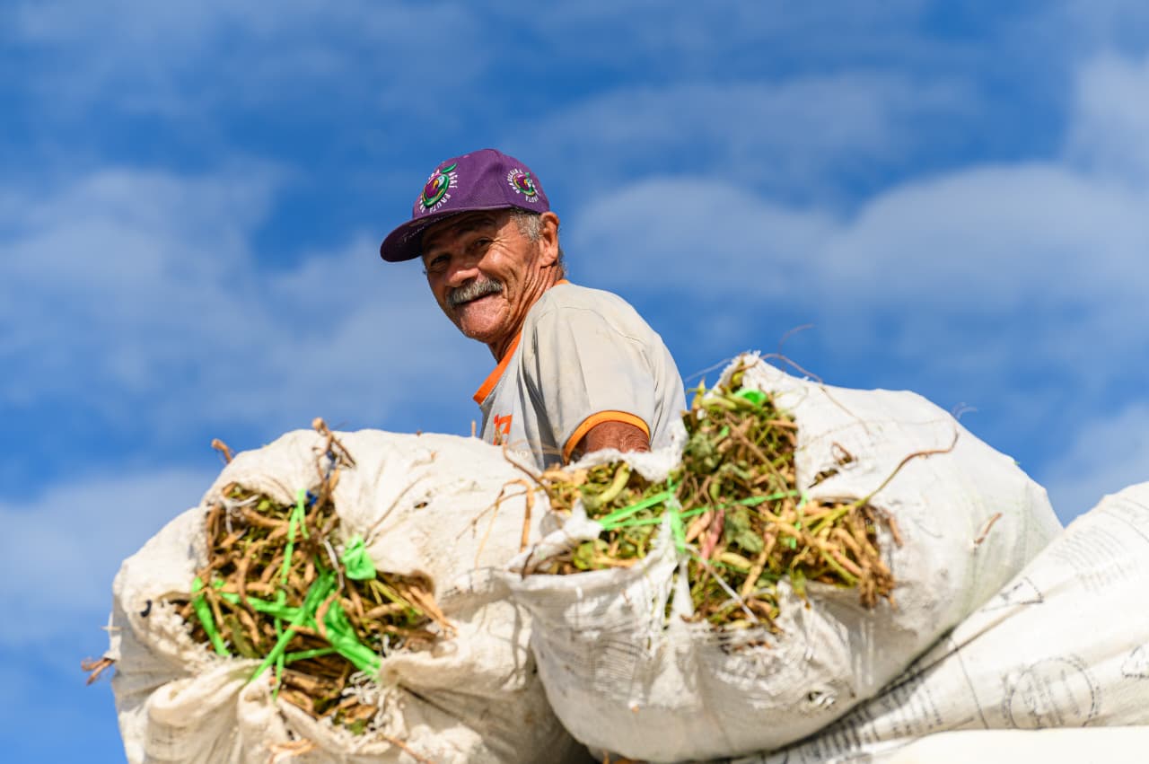 Projeto Maná encerra colheita com mais de 410 toneladas de alimentos e beneficia 1,3 mil famílias em Coruripe
